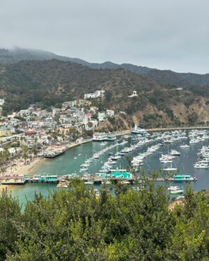 Zulay Henao Instagram - Catalina Island is such a GEM! 💎 

Con la Familia disfrutando este veranito tan rico🏝️💚