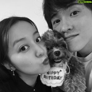 Mai Hagiwara Instagram - お誕生日おめでとう
ぷぅ🐻🤍

9/10誕生日なんて運命だよね🥰
元気いっぱいで、おもちゃと人間とわんちゃん好きの
ぷぅがだいすき！

これからもたくさん楽しい思い出をつくろうね🤍らぶ

1歳おめでとう(^｡^)

#pooh