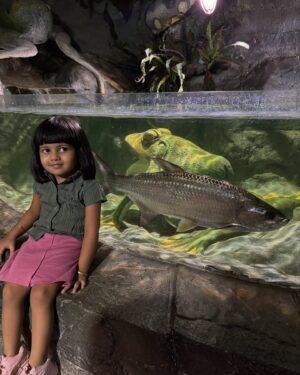 Alaknanda Nandhootty Instagram - 🤩
@marineworld_public_aquarium