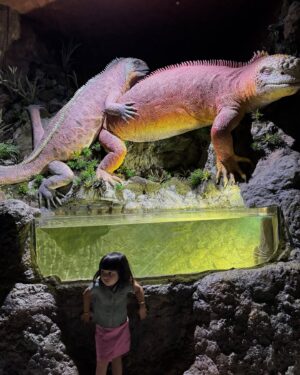 Alaknanda Nandhootty Instagram - 🤩
@marineworld_public_aquarium