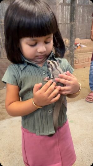 Alaknanda Nandhootty Instagram - 🤩 @marineworld_public_aquarium