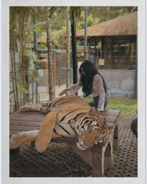 Amala Shaji Instagram - 🐅 ☺️ #amalashaji