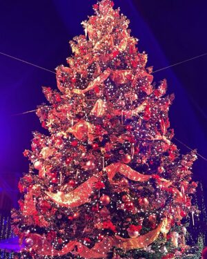 Catherine Haena Kim Instagram - Since it’s officially December, thought it was safe to tell you…Big Xmas Tree Girl 🎄🙆🏻‍♀️🎉

TY to the wonderful elves that decorate the lots ❤️💚
#thelittlethings #tistheseason #treehugger #bigmood #festiveAF