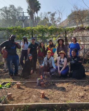 Chelsea Cook Instagram - ✨stardew valley irl ✨
A little late ~ but had such a wonderful time volunteering at the @solanocommunitygarden and @lagardencouncil with the @twitch Women’s and Black guild! Thank you to everyone who came by and supported. It’s always wonderful to see communities come together for good! ❤️ 🪴