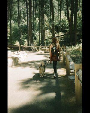 Chloe Dykstra Instagram - I had put this “Laika Appreciation” post together last week, and it still doesn’t feel like she’s gone yet. I’m not ready for the impossible task of selecting 20 photos of her throughout her life to represent everything she is. So if you’ll allow me, I would just like to post this in celebration of Laika as if she were still here, lying under my chair.