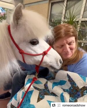 Daryl Hannah Instagram - Seven Minutes of Heaven🦄💕
(& 23 seconds)
Romeo and Ziggy had a great time visiting their friends at @seniorconcerns ‼️
Lots of kisses were given out 
& even though they don’t get treats during their visits, there was still a lot of content chewing 
& of course, some very loving & Zen moments. Even with Ziggy who normally is a bit of a wild child, but they take their mission very seriously & adore connecting with everyone. 
They love these visits so much 
& they love their visits to @thepaintedturtlecamp 🐢 as well
 💕🦄💕🦄💕

Thanks soo much for the beautiful 🎶 @neilyoungarchives 💗

#Repost @romeoroadshow

#cuteanimals #minihorses #therapyanimals
