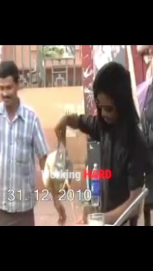 Dolly Chaiwala Instagram - Working HARD ☕️💪
.
.
.
.
.
.
.
.
.
.
.
.
.
.
.
.
.
.
.
.
.
#dollykitapri #dollychaiwala #dollychai #oldvideo #2010 #working #hard #reelkarofeelkaro #reelsinstagram #reels #reelinstagram #reelindia #reelviral #trendingreels #trending #trend #trendingnow #viral #viralvideos #viralreels