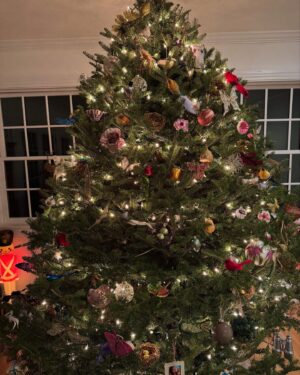 Elise Stefanik Instagram - ✨Merry Christmas Eve featuring our beautiful Upstate NY tree decorated with birds, flowers, and garden theme ornaments carefully collected over decades ✨