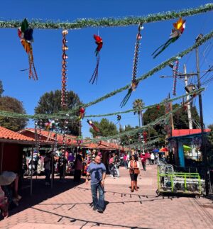 Eva Habermann Instagram - Ich habe mir gestern nochmal viel von Mexiko-Stadt angeschaut, und es gibt hier so viele schöne, unterschiedliche Viertel. 
Ich war in Coyoacán, Xochimilco, San Ángel und bei der Catedral de Guadalupe. Hier ist alles so schön bunt! 🎨

#mexico ❤️ #travel #blogger #color #actress #evahabermann