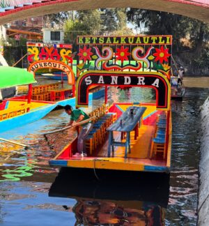 Eva Habermann Instagram - Ich habe mir gestern nochmal viel von Mexiko-Stadt angeschaut, und es gibt hier so viele schöne, unterschiedliche Viertel. 
Ich war in Coyoacán, Xochimilco, San Ángel und bei der Catedral de Guadalupe. Hier ist alles so schön bunt! 🎨

#mexico ❤️ #travel #blogger #color #actress #evahabermann