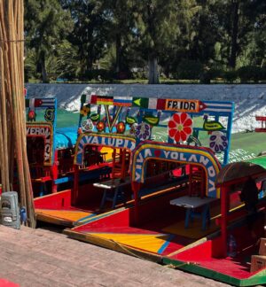 Eva Habermann Instagram - Ich habe mir gestern nochmal viel von Mexiko-Stadt angeschaut, und es gibt hier so viele schöne, unterschiedliche Viertel. 
Ich war in Coyoacán, Xochimilco, San Ángel und bei der Catedral de Guadalupe. Hier ist alles so schön bunt! 🎨

#mexico ❤️ #travel #blogger #color #actress #evahabermann