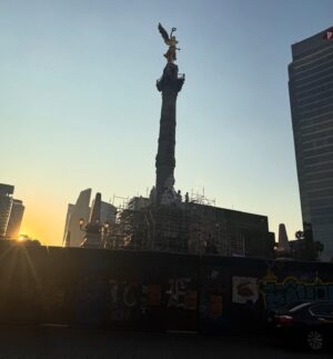 Eva Habermann Instagram - Ich habe mir gestern nochmal viel von Mexiko-Stadt angeschaut, und es gibt hier so viele schöne, unterschiedliche Viertel. 
Ich war in Coyoacán, Xochimilco, San Ángel und bei der Catedral de Guadalupe. Hier ist alles so schön bunt! 🎨

#mexico ❤️ #travel #blogger #color #actress #evahabermann