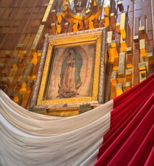 Eva Habermann Instagram - Ich habe mir gestern nochmal viel von Mexiko-Stadt angeschaut, und es gibt hier so viele schöne, unterschiedliche Viertel. 
Ich war in Coyoacán, Xochimilco, San Ángel und bei der Catedral de Guadalupe. Hier ist alles so schön bunt! 🎨

#mexico ❤️ #travel #blogger #color #actress #evahabermann