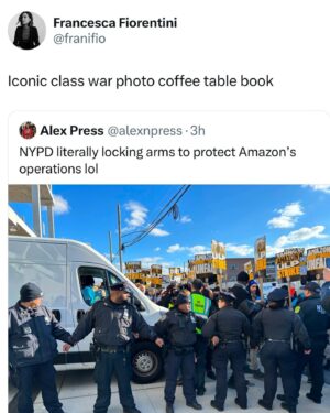 Francesca Fiorentini Instagram - Your Amazon packages brought to you by the NYPD