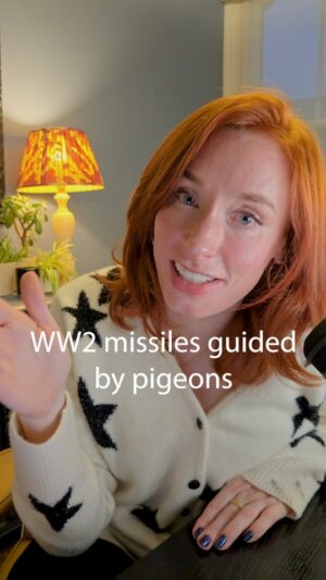 Hannah Fry Instagram - You can read Skinner's own recollections of 'Project Pigeon' or as he describes it: "a crackpot idea, born on the wrong side of the tracks intellectually speaking..."

Pigeons in a pelican, by B.F. Skinner (1960)