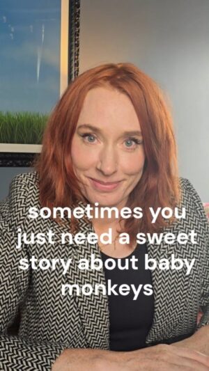 Hannah Fry Instagram - I recognise this was unlikely to be the takeaway the researchers were aiming for from this study - and the ability of vervets to use semantic communication is indeed fascinating -  but sometimes you just need a sweet story about baby monkeys to get you through the day.

Monkey responses to three different alarm calls: evidence of predator classification and semantic communication by R Seyfarth, D Cheney, and Peter Marler (1980)