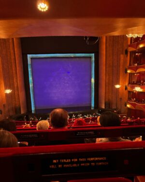 Irina Dvorovenko Instagram - What a wonderful family night at the Metropolitan Opera! The Magic Flute is truly magical🪈🦜👸✨#chassétogetherforlife #family #love #holiday