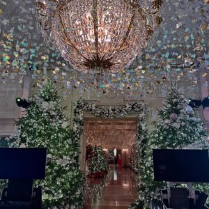 Kate Rockwell Instagram - Christmas at the White House 🌲
Singing for POTUS 🦅 
Contemplating time 🕰️ 
Drinking champagne everywhere 🥂 

I may never stop posting these photos 📸
