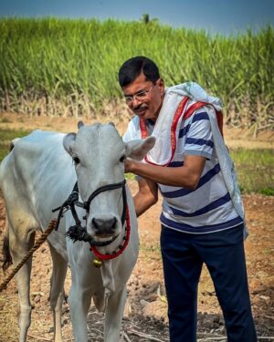 Kshitee Jog Instagram - आपल्या फसक्लास ढोमे फॅमिलीची नवी मेंबर लक्ष्मी! 

#FD #myfamily #myvillage #mylife #laxmi #cow
