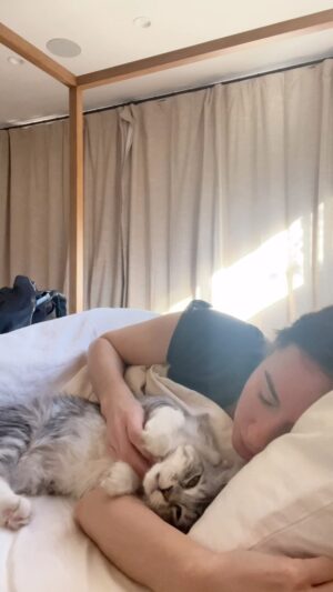 Lyndon Smith Instagram - We will just be here 🖤⁣
⁣
⁣
⁣
#CatsOfInstagram #CatLife #InstaCat #Meowdel #CatoftheDay #KittyLove