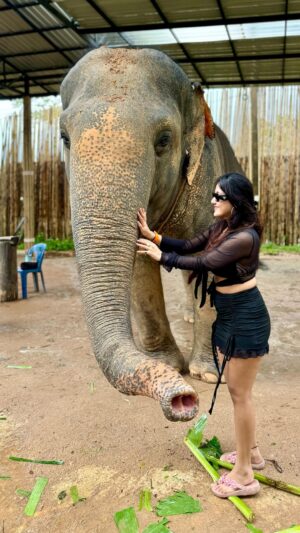 Manul Chudasama Instagram - Main udna chahti hun, daudna chahti hun. Girna bhi chahti hun. Bas, rukna nahi chahti.” 🚀🧚‍♀️ 
.
.
.
.
.
.
#phuket #tiger #elephant #dost #friends #newfriends #funtimes #holiday #travelphotography #reels #reelsinstagram #explore #trending #explore #fyp #viral