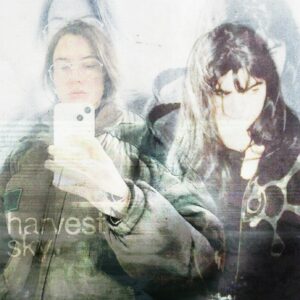 Marylou Mayniel Instagram - harvest sky featuring @underscores is out today 
big thanks to all the talented musicians involved 
@caseymq @dannylharle @nicknoexit @underscores @natecampany 
Visualiser available on yt by  @saradibiza 

🐦‍⬛

artwork by @kim_coussee