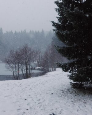 Maxime Teissier Instagram - ❄️🌲 première neige ! Et vous quel programme pour les vacances ?