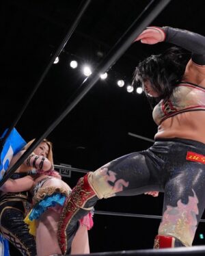 Meiko Satomura Instagram - 仙女2024年の最終戦が終了しました‼️

新木場大会にご来場いただきました皆様、ありがとうございました。

そして、レッスルユニバースで生視聴していただいた皆様、ありがとうございました。

今年は全員大きな怪我なく前向きに終えられたこと、心から感謝いたします。
#SENJO #女子プロレス　2024.12.22