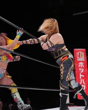 Meiko Satomura Instagram - 仙女2024年の最終戦が終了しました‼️

新木場大会にご来場いただきました皆様、ありがとうございました。

そして、レッスルユニバースで生視聴していただいた皆様、ありがとうございました。

今年は全員大きな怪我なく前向きに終えられたこと、心から感謝いたします。
#SENJO #女子プロレス　2024.12.22