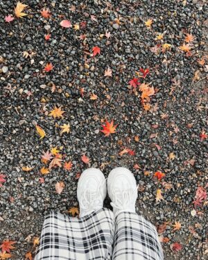 MindaRyn Instagram - Autumn already passed and these are only photos i got from this year😂🍁🍂