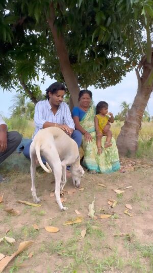 Muthukumaran Jegatheesan Instagram - எங்கள் நாய்கள் எங்கள் வாழ்க்கை 🥰

#dog #dogsofinstagram #doglover #doglovers #dogs #dogphotography #pet #pets #petlovers #petphotography #petstagram #mk #naanmuthukumaran