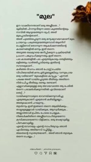 Nila Nambia Instagram - മുല