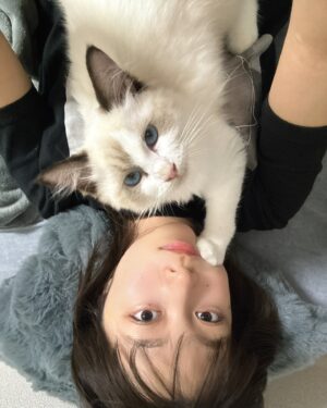 Nozomi Hanayagi Instagram - 【ご報告】

にゃんとの暮らし、始めました。🐱

名前はルナ🌙ラグドールの女の子です。

お迎えして3週間くらいは、にゃんがいる生活にまだ慣れなくて、すきな子に話しかけたいんだけどなかなか話しかけられないマンになり、ルナも懐いてくれなくて心折れかけ...

1枚目は、そんなルナが
初めて歩み寄ってくれた日の写真🥹✨
もうほーんとうれしかった。。。

ペットを飼うのは初めてなので、日々手探り〜...
諸にゃん輩方、いろいろと教えてください🐈

#🐱