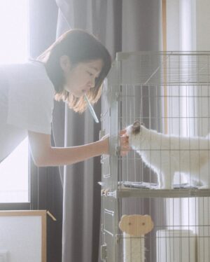 Nozomi Hanayagi Instagram - 【ご報告】

にゃんとの暮らし、始めました。🐱

名前はルナ🌙ラグドールの女の子です。

お迎えして3週間くらいは、にゃんがいる生活にまだ慣れなくて、すきな子に話しかけたいんだけどなかなか話しかけられないマンになり、ルナも懐いてくれなくて心折れかけ...

1枚目は、そんなルナが
初めて歩み寄ってくれた日の写真🥹✨
もうほーんとうれしかった。。。

ペットを飼うのは初めてなので、日々手探り〜...
諸にゃん輩方、いろいろと教えてください🐈

#🐱