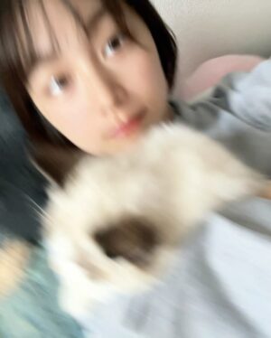 Nozomi Hanayagi Instagram - 【ご報告】

にゃんとの暮らし、始めました。🐱

名前はルナ🌙ラグドールの女の子です。

お迎えして3週間くらいは、にゃんがいる生活にまだ慣れなくて、すきな子に話しかけたいんだけどなかなか話しかけられないマンになり、ルナも懐いてくれなくて心折れかけ...

1枚目は、そんなルナが
初めて歩み寄ってくれた日の写真🥹✨
もうほーんとうれしかった。。。

ペットを飼うのは初めてなので、日々手探り〜...
諸にゃん輩方、いろいろと教えてください🐈

#🐱