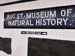 Ophelia Lovibond Instagram - Plateosaurus and pickles 🦕🥒 #ilikeithere #fallinnyc #🍁 #newyorkcitysubway #museumofnaturalhistory @bembien @missomalondon @amnh #🗽 #manhattan