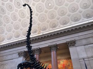 Ophelia Lovibond Instagram - Plateosaurus and pickles 🦕🥒 #ilikeithere #fallinnyc #🍁 #newyorkcitysubway #museumofnaturalhistory @bembien @missomalondon @amnh #🗽 #manhattan