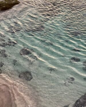 Priyanka Arya Instagram - Sharing Stories while walking on the 🏖️?

Bali | bali travel | travel influencer | travel and leisure | uluwatu bali | indian influencer