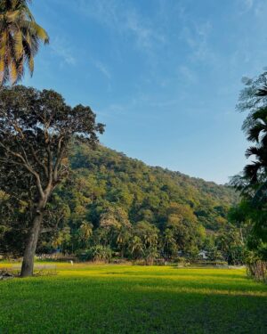 Priyanka Bharali Instagram - The earth laughs in flowers🌼🌼

#newpost #performer #singer #assam #priyankabharalilive #priyankabharalifanclub #priyankabharaliofficial #priyankabharali 
#thankfulgratefulblessed #instagram #instagood #instamood #instacool #instanature #nature #naturelovers #guwahati #mayong 
#🧿🙏♥️ #viral #viralpost
