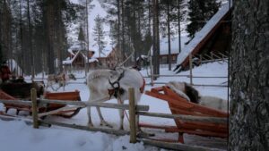 Rebecca Roy Instagram - Video Postcards from Finland’s winter wonderland! ❄️🇫🇮 Picture this: gentle snowfall, the Northern Lights dancing above, and the cozy warmth of Finland’s unique all-inclusive resorts. 
our recos 
@northernlightsvillagelevi 
@arctictreehousehotel 
@wildernesshotels 

✨ As the birthplace of Santa Claus, every corner feels like stepping into a fairytale. Which postcard captures your heart? 

#NorthernLightsMagic #Santa’sHome #FinlandDiaries #chennaiinfluencer #finland #coupletravel #wintervacation #snow