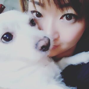 Reila Aphrodite Instagram - Love is my vitamin & healing when I am in down... 😔
@reilaaphrodite_official #dog #chihuhuashizumix #emotionalsupport #happy #warm #staypositive #babegirl #actress #actorslife #film #Hollywood #Japanese #gentle #unconditional #love #heart
