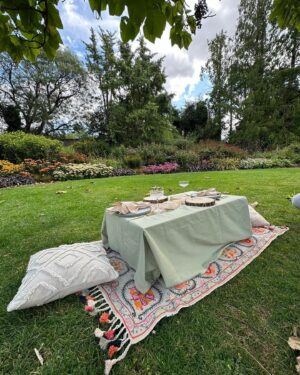 Sufi Malik Instagram - picnic time 💗 ty @perfectlyplaced_co for such a fun set up