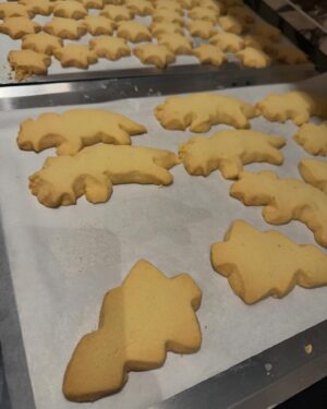 Tanya Plibersek Instagram - My kids tell me Christmas dinosaurs are a thing…