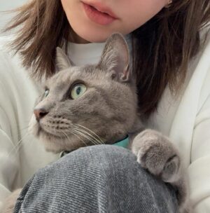 Ai Kago Instagram - 実家のルナ(=^x^=)くん！保護猫です🥹🤍
家族の一番のアイドル！
私にピタリとくっついて「亜依〜」って鳴きます。(多分)
妹のことを恋人と思って、俺感出してくるとこも可愛い😮‍💨
2025も家族の癒し系で元気で過ごしてね💕

#猫好き部
#動物が好き
#爬虫類も飼いたい