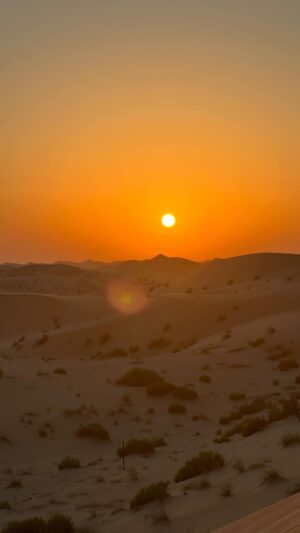 Alicia Aylies Instagram - Lost in the dunes, finding magic in every sunset 🌞✨ 

#DesertAdventures #SunsetGlow #InAbuDhabi