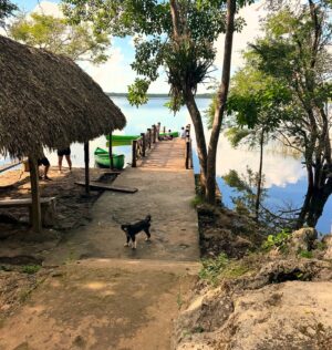 Alisha Newton Instagram - one last Mexico dump for the coconut!!!🥥 👙🏝️