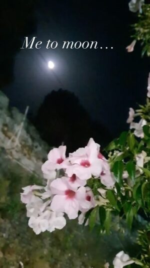 Anamica Kadamb Instagram - 🌙 
#anamicakadamb #trending #reels #moon #bollywood #instagood