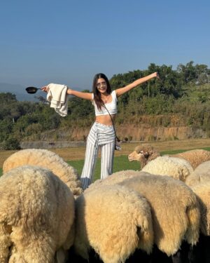 Aniporn Chalermburanawong Instagram - เจียงฮายย อากาศดีขนาดจ้าวววว 💐🐑⛅️