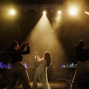 Anju Joseph Instagram - A big thanks to the lovely people of Kochi and the organisers of Cochin Carnival for this wonderful opportunity! Started 2025 with a bang and frankly speaking we have never seen such amazing vibes from a crowd. 

Love you Kochi! ❤️❤️

#grateful #cochincarnival