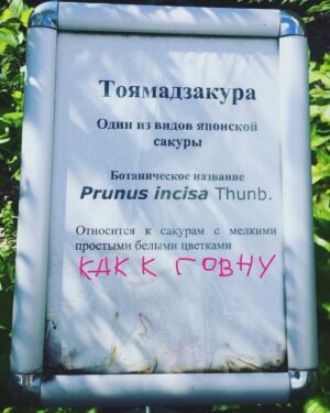 Anna Chipovskaya Instagram - Знаете, некоторое время назад, в инстаграме меня стал преследовать сталкер. Один человек под разными аккаунтами оставлял «приятные» комментарии о моей личной жизни, внешности, возрасте, весе, карьере. Я долго не обращала внимания, потому что меня в некотором смысле даже восхищала преданность этого человека, в этом было даже что-то трогательное, какую огромную роль я играю в его/её жизни, ночами не спит, думает обо мне. Но правда в том, что все приключения когда-нибудь заканчиваются. И вот сегодня я взяла в руки телефон и забанила его/её к херам собачьим. И буду банить впредь. Так что,  этим прекрасным днём желаю вам, друзья, с лёгкостью избавляться от мусора. В голове, в жизни, в медийном пространстве. Не терпите. Даже, если вам кажется, что вы привязались. Даже, если будете немножко скучать. Уделите минуту внимания трепетному ноунейму и дальше по своим делам💋